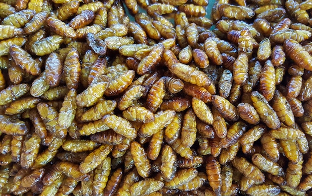 水本方ps纳豆多少钱