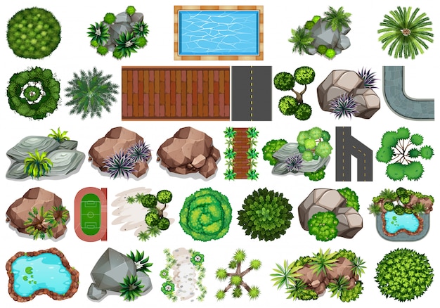 如何学习植物景观设计