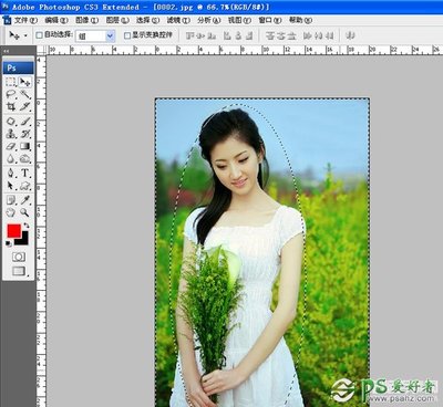 ps羽化工具怎么用