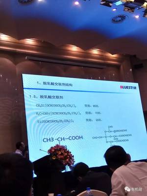 中蓝晨光化工研究设计院有限公司