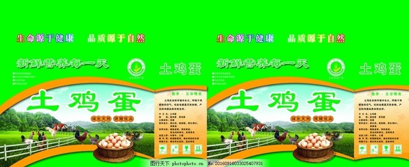 鸡蛋外包装设计