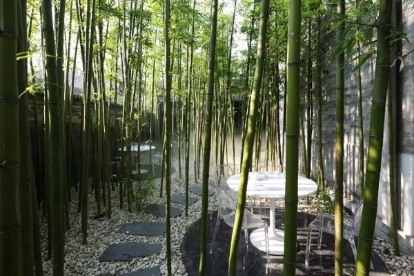 如何打造竹林景观设计
