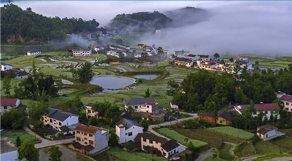 美丽乡村旅游规划设计