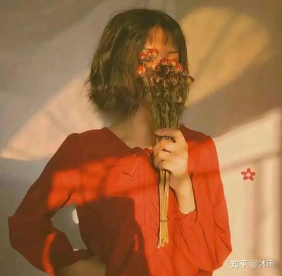 传播学的集大成者
