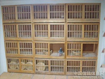大型鸽棚设计大全图