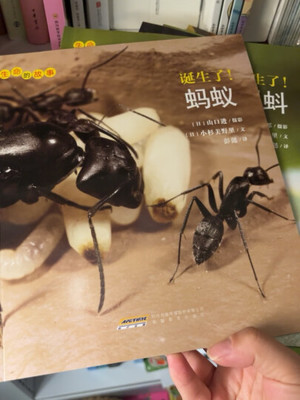 蚂蚁印刷速度怎么样