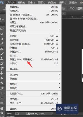 ps存储为web所用格式