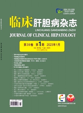 临床肝胆病杂志官网