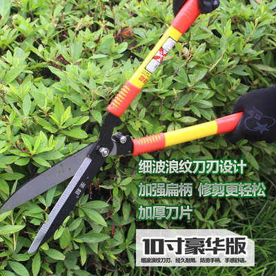 园林设计需要哪些工具呢