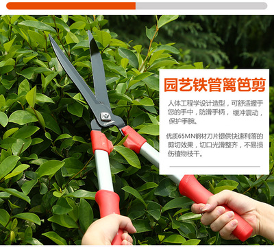园林设计需要哪些工具呢