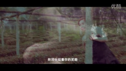 成都宝顺传媒是真是假