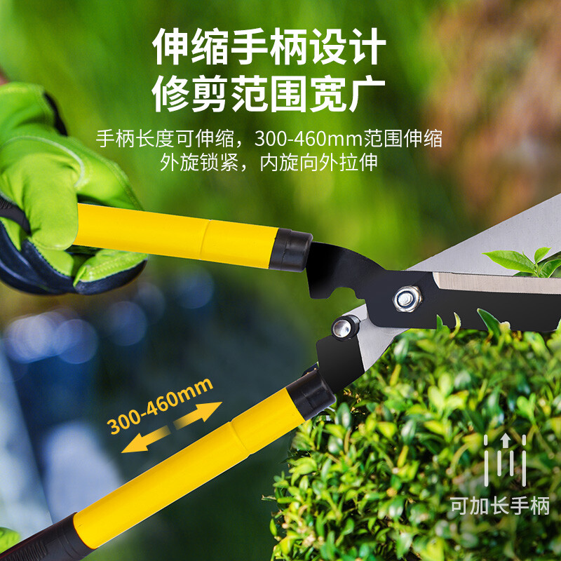 园林设计需要哪些工具呢