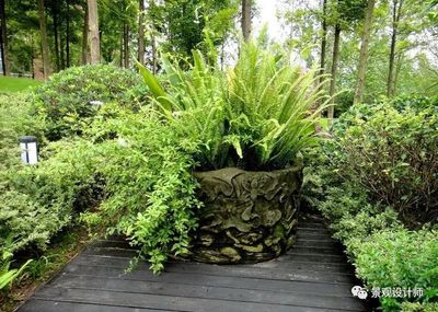 植物景观设计待遇如何