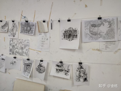 建筑设计选什么课好学