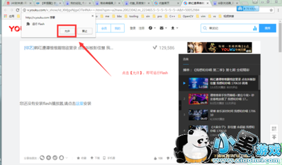 flash播放器及浏览器下载