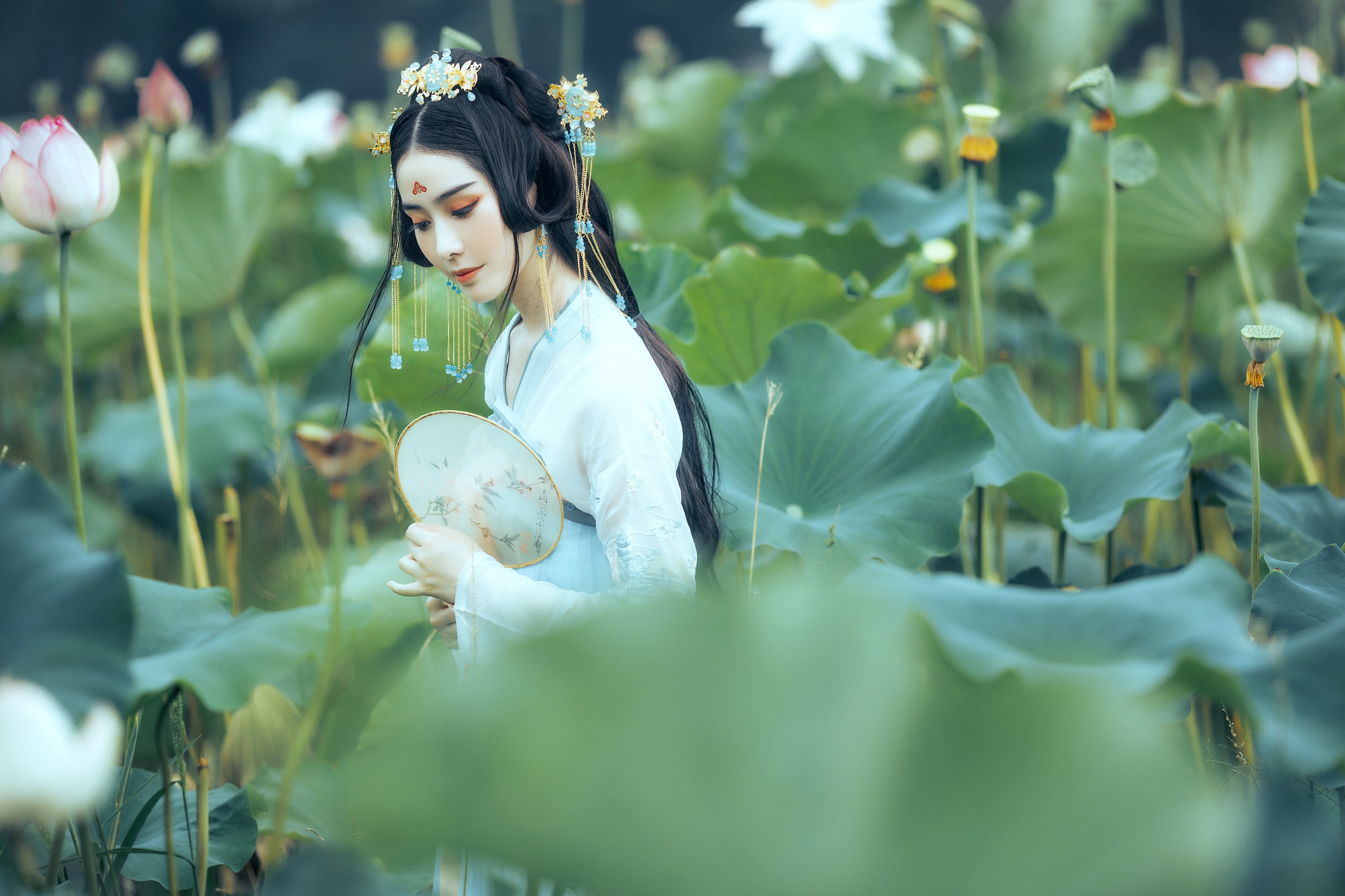 泰州抄送灯箱广告得多少钱