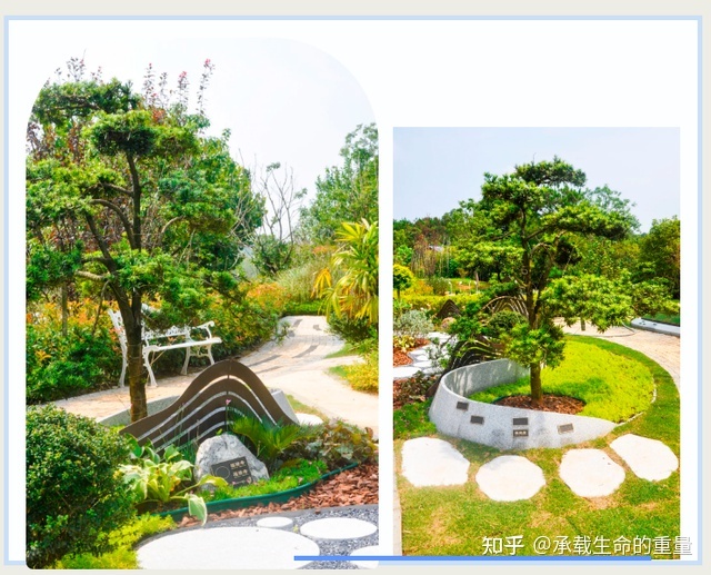 园林设计地形有哪些类型