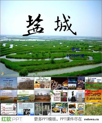盐城特产广告词