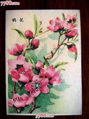 印刷画桃花怎么画