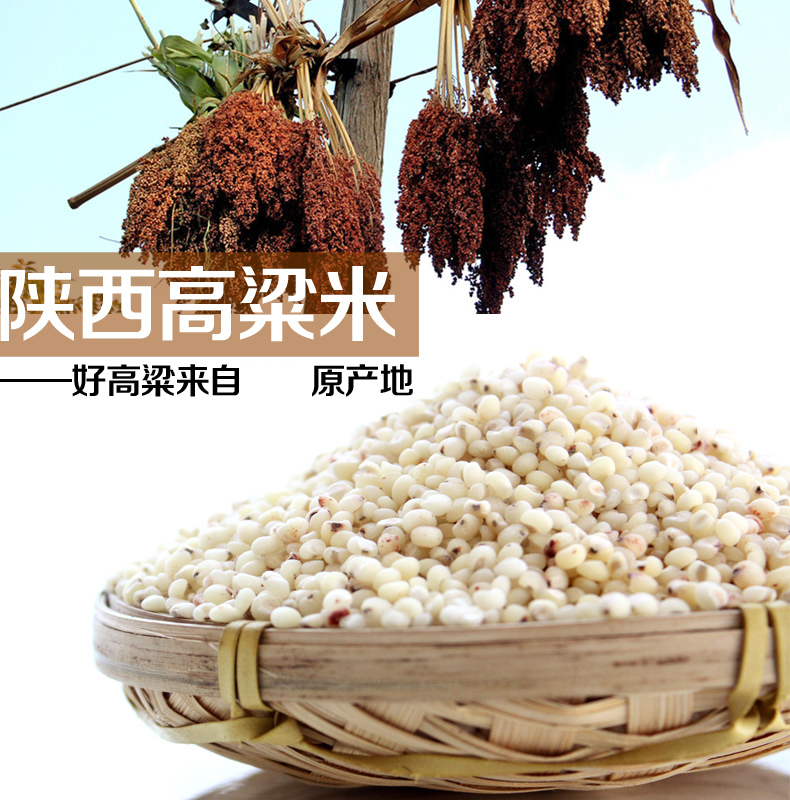 盐城特产广告词