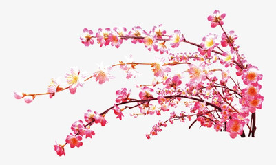印刷画桃花怎么画
