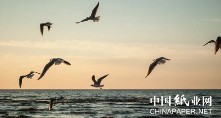 河南印刷减粘剂种类有哪些