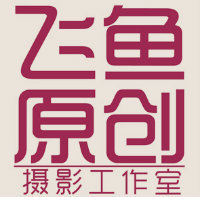 驻马店飞鱼视觉摄影