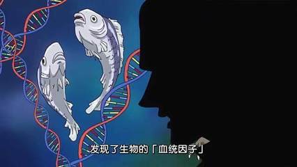 贝加庞克生命设计图