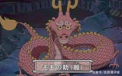 贝加庞克生命设计图