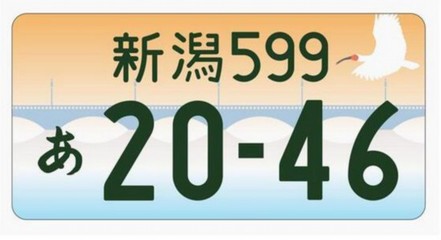 中国车牌谁设计的