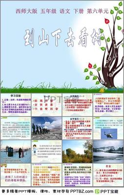 小学语文教学设计万能模板