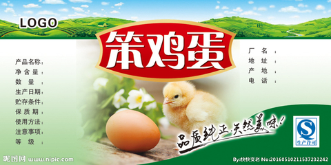 卖笨鸡蛋的广告怎么打