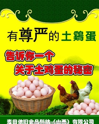 卖笨鸡蛋的广告怎么打