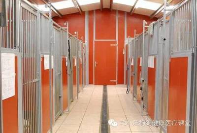 小型狗场犬舍设计图