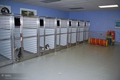 小型狗场犬舍设计图