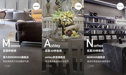 ashley 3D设计怎么样