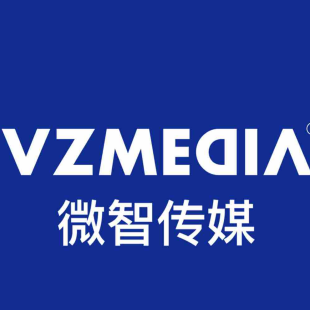 浙江微智传媒