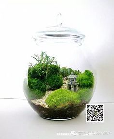 什么是微景观设计