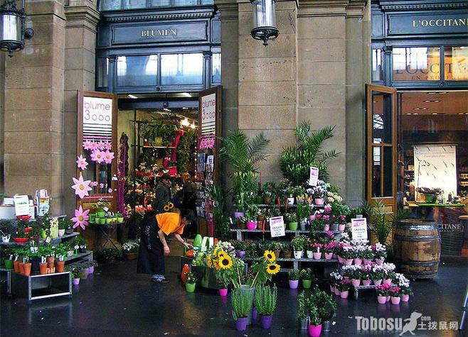 花店平面图设计