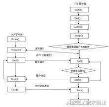 面向过程的程序设计语言是
