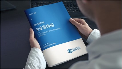 小白如何做企业宣传书