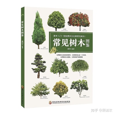 景观设计院工作怎么样知乎