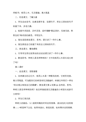 桃花心木名师教学设计