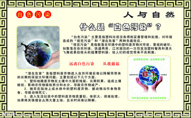 海报是什么意思