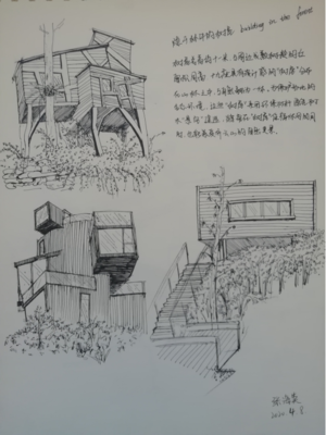 学了建筑设计有什么启发