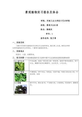 景观设计实践报告