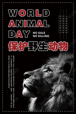 关于保护动物的海报