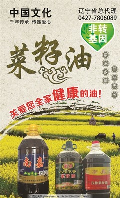 菜籽油广告