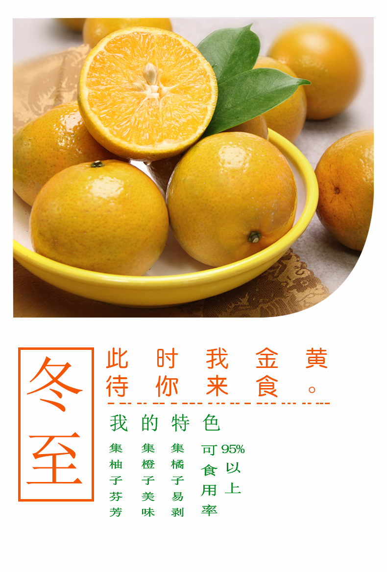 橙子广告语