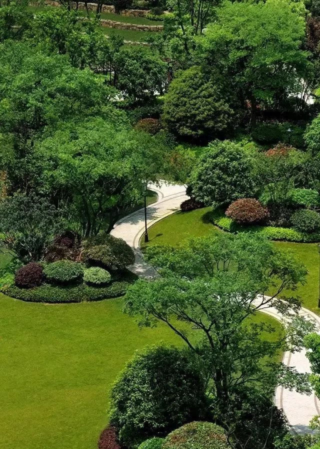 为什么做植物的景观设计